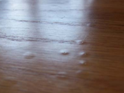 Fisheye Finishing Failures: The Shop Contaminants That Sabotage “Perfect” Coats