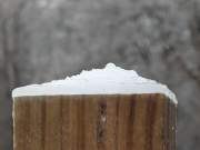 Winter’s fury pounds country, impacts wood industry