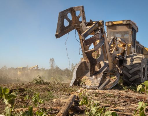 Georgia timber industry seeks innovative solutions amid market challenges – The Current