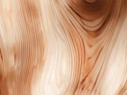 Scientists Explain How Alkali Turns Wood Transparent – AZoBuild