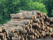 U.S. HARDWOOD LUMBER SUPPLY CONTRACTS TO HISTORIC LOW