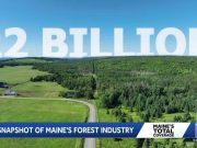 Maine’s forest industry is adapting. A new snapshot breaks down where it stands.