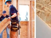 Global Engineered Wood Market Set for $427.3 Billion by 2033, Driven by Green Building Demand