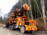 $500M Boost for Retooling Canada’s Forestry Industry – fundsforNGOs News