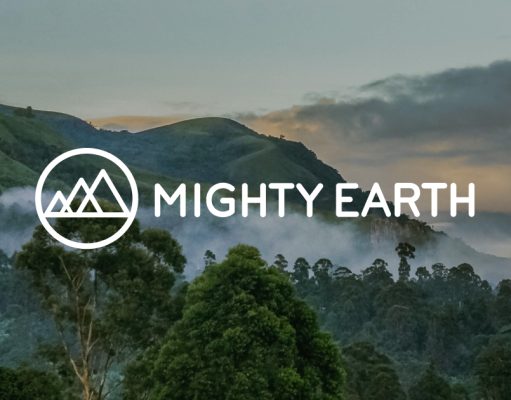 Environmental Group Targets RV Industry with Billboards