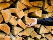 Lumber Prices Shift Modestly Year Over Year, Jump in the Past Month: What It Means for Shop Quotes