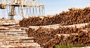 Hardwood lumbering