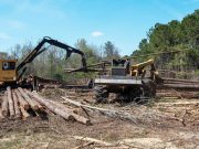 Aftermath of southeast Georgia mill closures