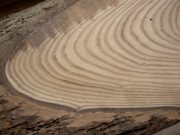 KY’s hardwood crisis shows why relief alone isn’t enough