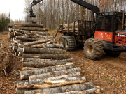 U.S. Department of Agriculture awards eight states $115.2M to advance timber production