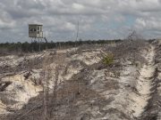 ‘Anything’s gonna help us’