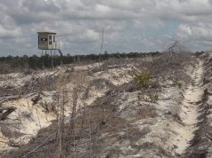 ‘Anything’s gonna help us’