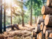 Gravois Planing Mill Announces Expansion Beyond St. Louis Region, Projects Strong Growth