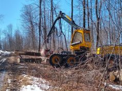Wisconsin Forests FIRST initiative seeks to create long-term roadmap for forest products industry