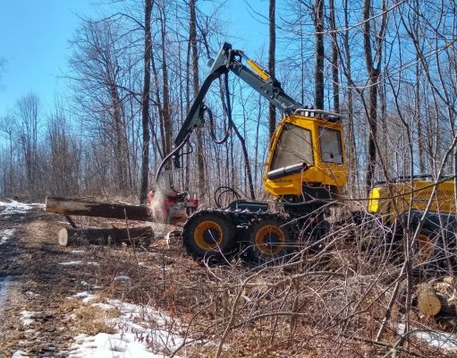 Wisconsin Forests FIRST initiative seeks to create long-term roadmap for forest products industry
