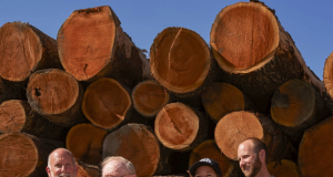 Legacy carved in wood; fourth generation of Hickmans carry on with lumber businesses