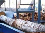 The Engineering Behind BISON MACHINE: A China Top Wood Pellet Mill Factory with 43 Patents