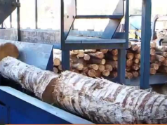 The Engineering Behind BISON MACHINE: A China Top Wood Pellet Mill Factory with 43 Patents