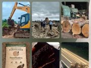 PuraMadera Accelerates Global Expansion, Bringing Amazon Wood and Mineral Rich Soil to Latin America and the Caribbean