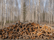 Zacks Industry Outlook Highlights Weyerhaeuser, Rayonier and Worthington Enterprises