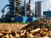Wisconsin forestry industry to get boost from sustainable aviation fuel facility in Hayward
